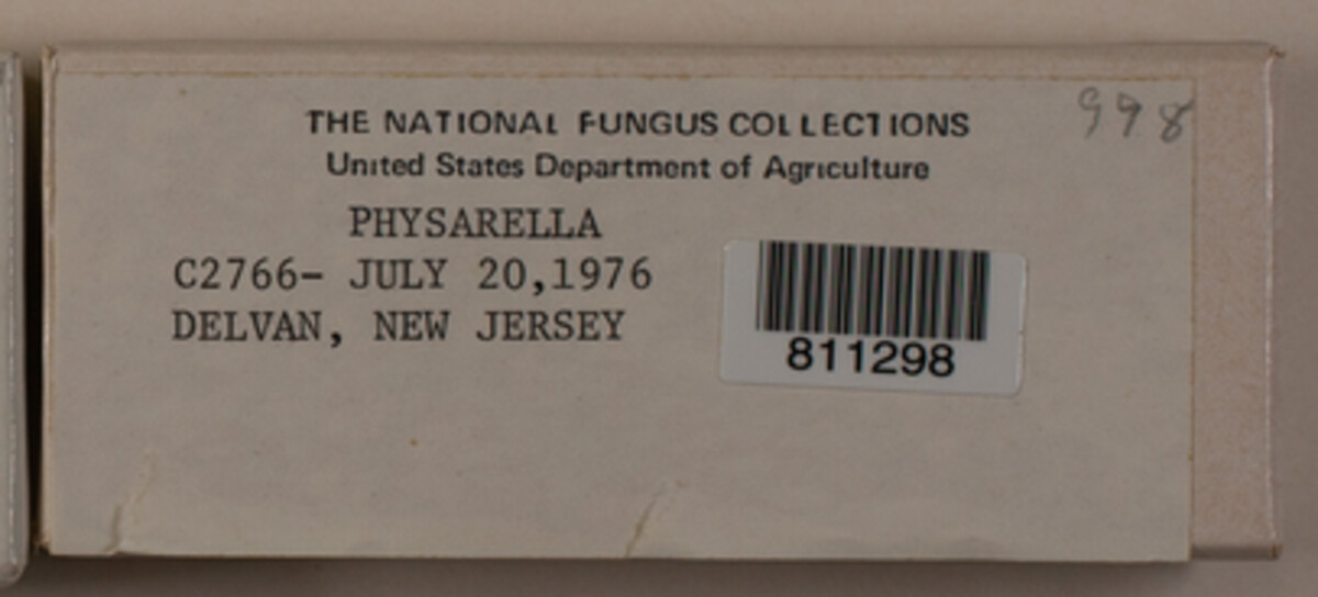 Physarella image